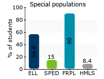 Special populations